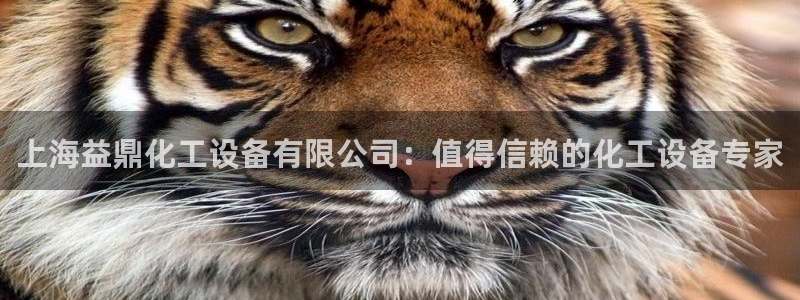 天辰商盟创业平台是真的吗
