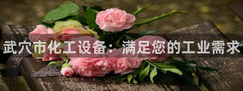 天辰商盟创业平台是真的吗