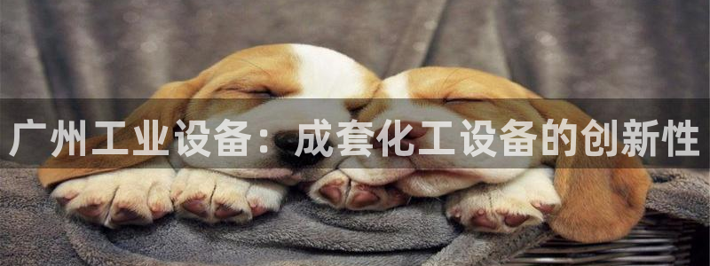 天辰娱乐的老板是谁呀