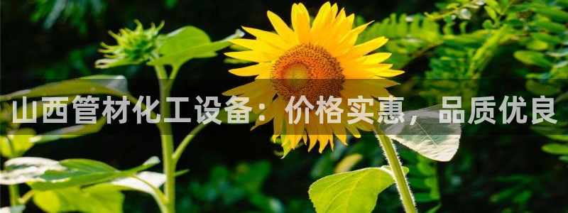 天辰平台雨 411o31 平台