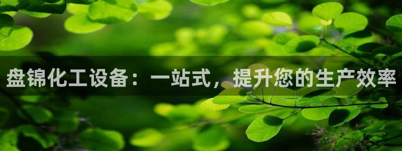 天辰平台测速登录不上怎么回事