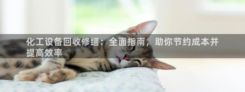 天辰平台登录地址在哪里改