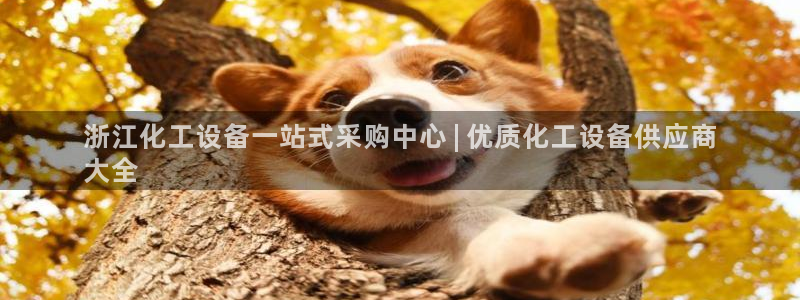 天辰平台注册登录地址怎么改