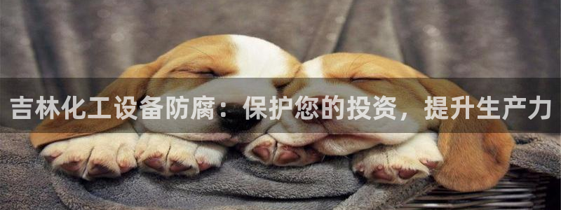 天辰娱乐平台用户评价与反馈