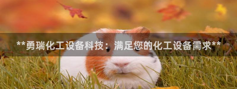 天辰平台用户注册不了
