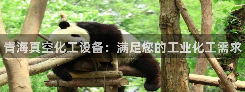 天辰平台登录注册不了