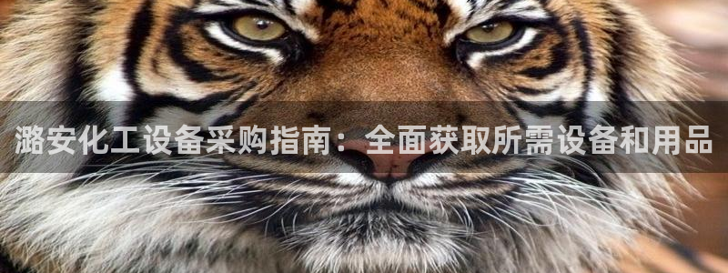 天辰娱乐的老板是谁啊