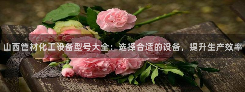 天辰商盟创业平台是真的吗