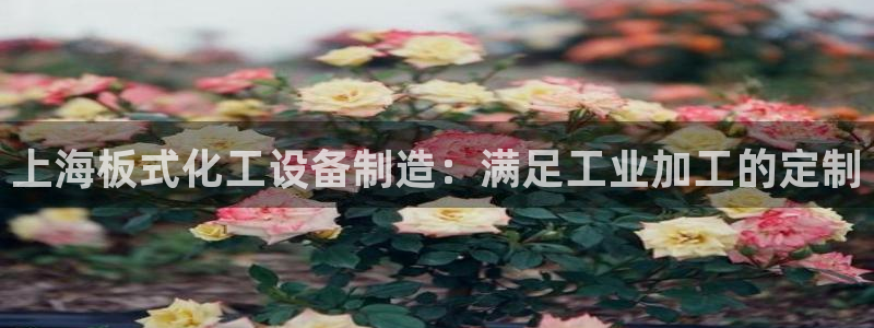 天辰网会员多少钱