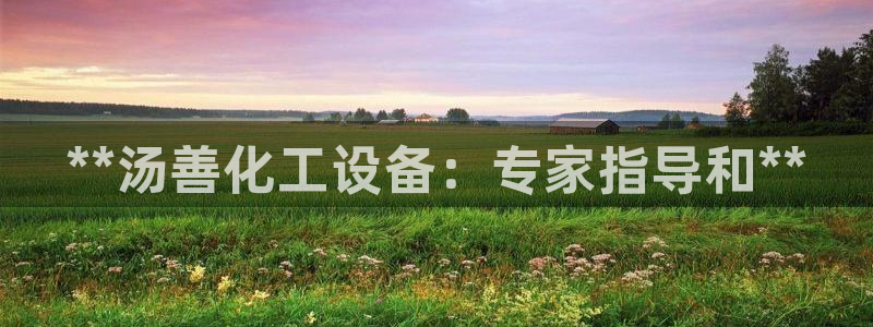天辰平台测速登录不上
