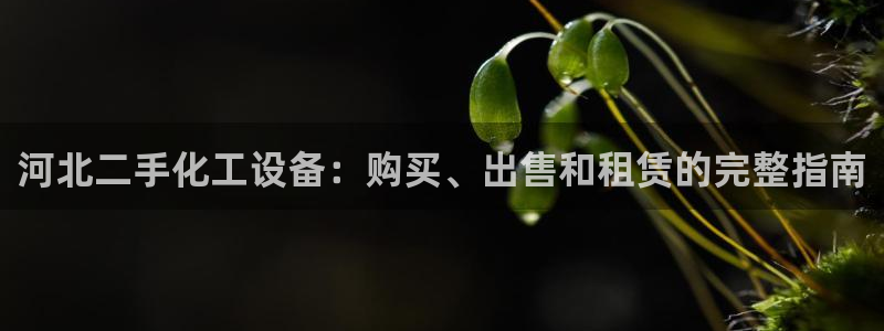 天辰平台飞 411o31 平台