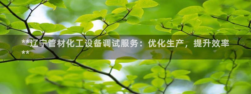 天辰娱乐的老板是谁呀