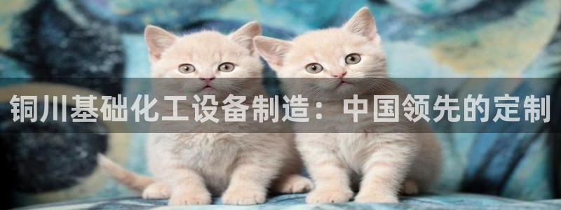 天辰平台 你的专属平台在哪里