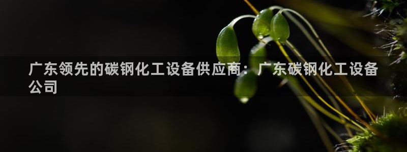 天辰平台用户注册不了