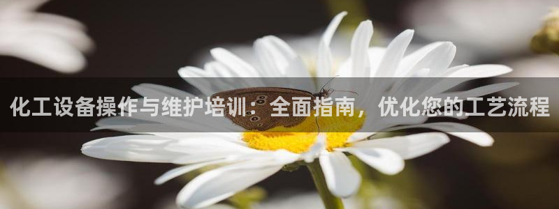 天辰商盟创业平台是真的吗