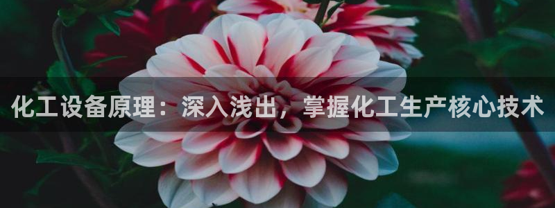 天辰平台 注册你的专属平台入口