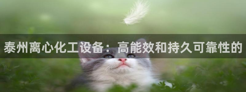 天辰测速登陆