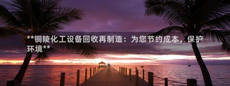 天辰平台注册登录地址怎么改啊