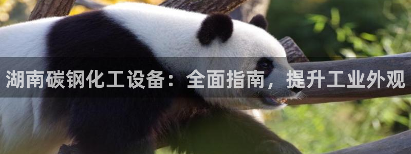 天辰平台弄 585341