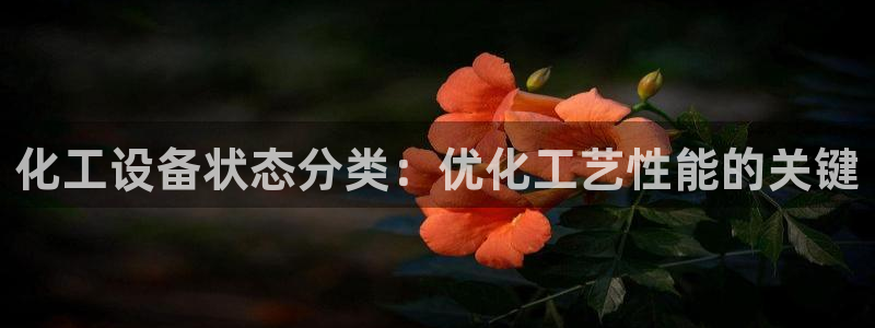 天辰平台墙44262：化工设备状态分类：优化工艺性