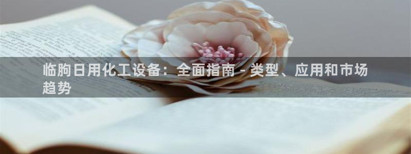 天辰平台用户登录不了：临朐日用化工设备：全面指南 