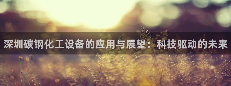 天辰平台专用注册通道安全吗可靠吗：深圳碳钢化工设备