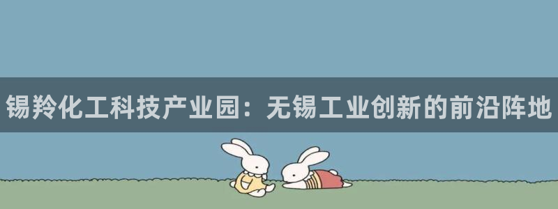 天辰平台测速登录不上去