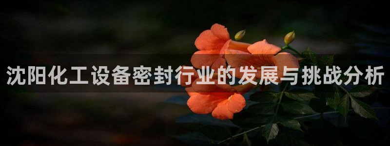 天辰用户注册流程：沈阳化工设备密封行业的发展与挑战