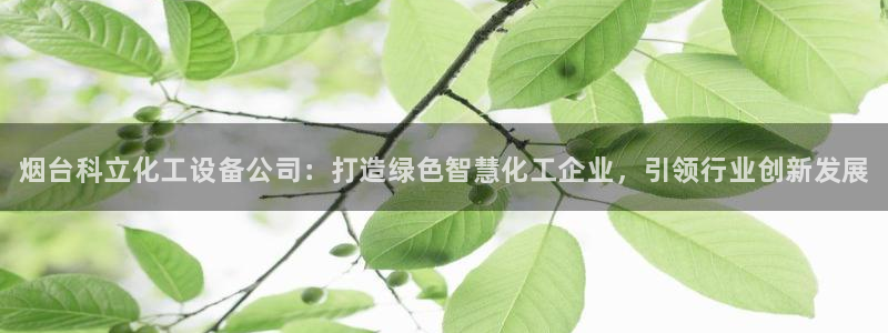 天辰平台注册地址怎么改：烟台科立化工设备公司：打造绿色智慧化