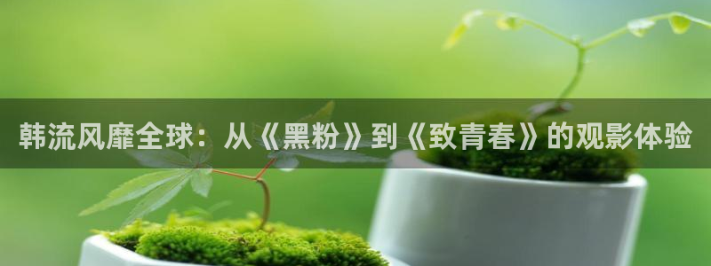 yy首播影院