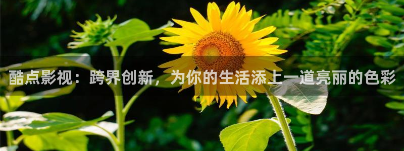首播影院y y4480