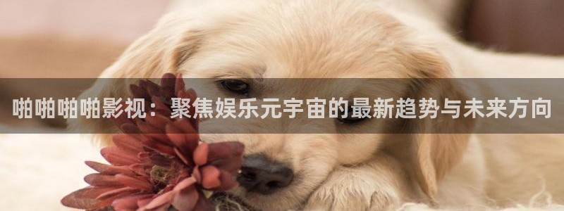 首播影院久久播3p网址大全：啪啪啪啪影视：聚焦娱乐元宇宙的最新趋势与未来方向